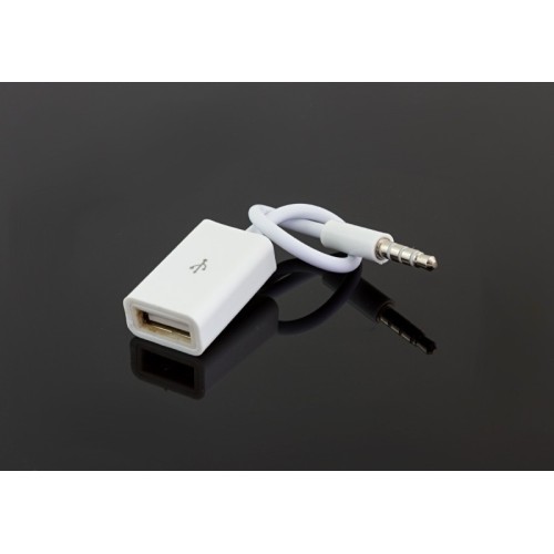 ADAPTERIS AUX 3,5MM - USB ADAPTERIS AUX 3,5MM - USB