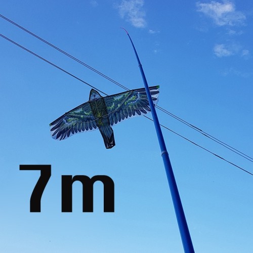 KOTAS 7M AITVARUI KOTAS 7M AITVARUI