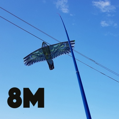 KOTAS 8M AITVARUI KOTAS 8M AITVARUI