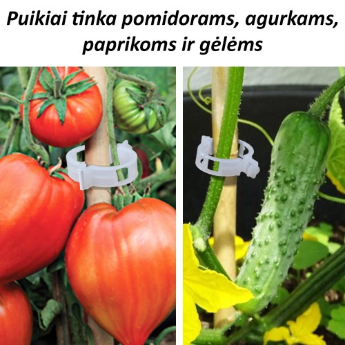 POMIDORŲ SEGTUKAI, 50 VNT. POMIDORŲ SEGTUKAI, 50 VNT.