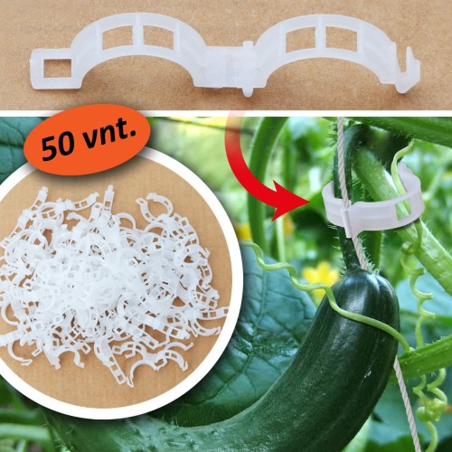 POMIDORŲ SEGTUKAI, 50 VNT. POMIDORŲ SEGTUKAI, 50 VNT.