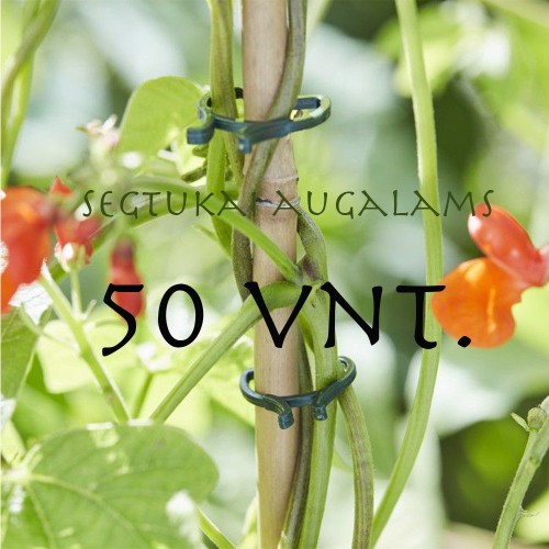 SEGTUKAI AUGALAMS 50 VNT. SEGTUKAI AUGALAMS 50 VNT.