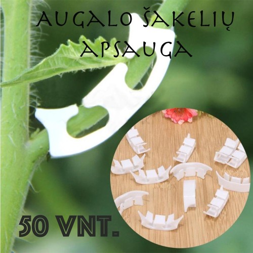 AUGALO ŠAKELIŲ LAIKIKLIAI 50 VNT. AUGALO ŠAKELIŲ LAIKIKLIAI 50 VNT.