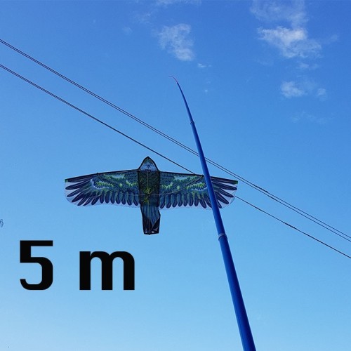 KOTAS 5M AITVARUI KOTAS 5M AITVARUI