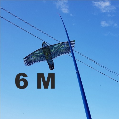 KOTAS 6M AITVARUI KOTAS 6M AITVARUI