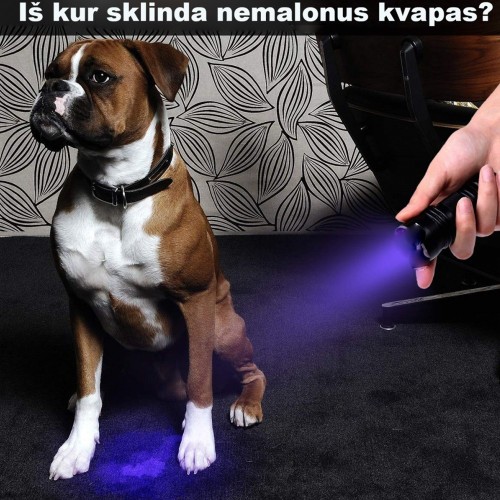 UV SPINDULIŲ PROŽEKTORIUS UV SPINDULIŲ PROŽEKTORIUS