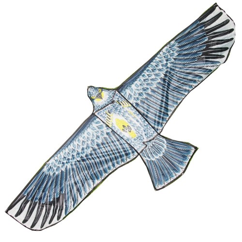 PAUKŠČIŲ BAIDYKLĖ, AITVARAS 