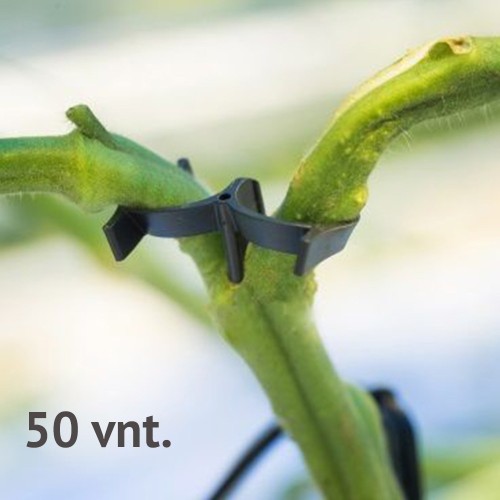 POMIDORŲ ŠAKELIŲ LAIKIKLIAI, 50 VNT. POMIDORŲ ŠAKELIŲ LAIKIKLIAI, 50 VNT.