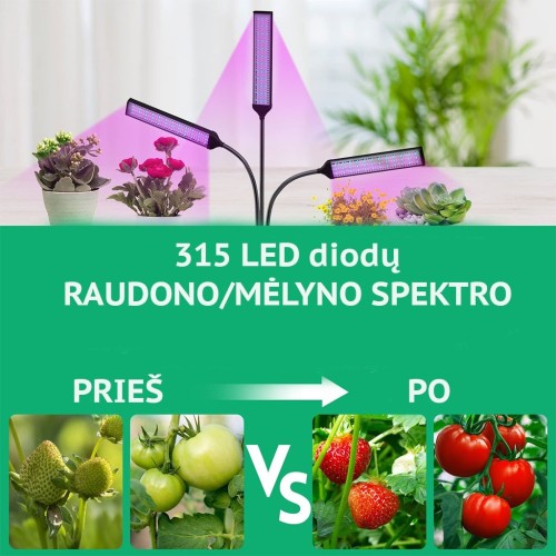 AUGALŲ AUGINIMO LEMPA 315LED AUGALŲ AUGINIMO LEMPA 315LED