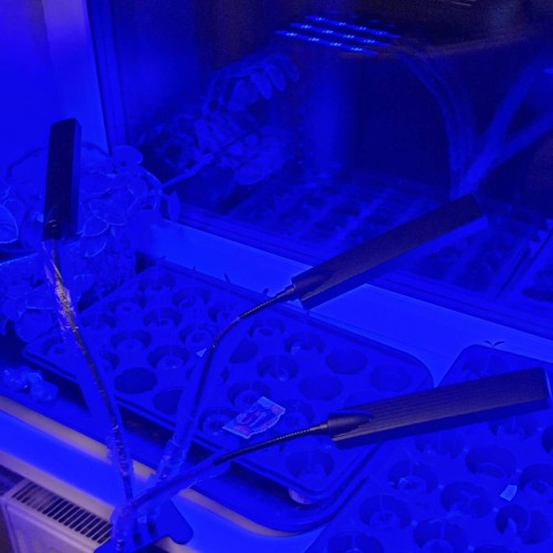AUGALŲ AUGINIMO LEMPA 315LED AUGALŲ AUGINIMO LEMPA 315LED