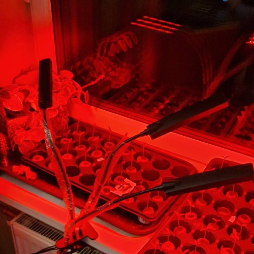AUGALŲ AUGINIMO LEMPA 315LED AUGALŲ AUGINIMO LEMPA 315LED