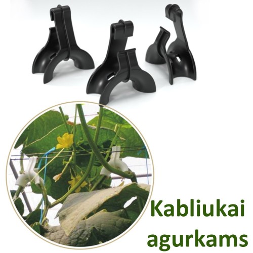 KABLIUKAI AGURKAMS, 10 VNT. KABLIUKAI AGURKAMS, 10 VNT.