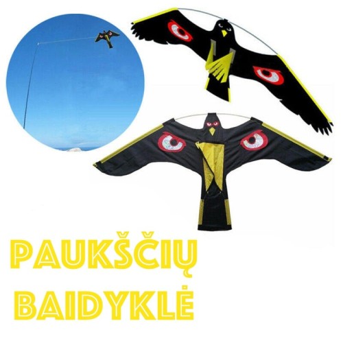 PAUKŠČIŲ BAIDYKLĖ, AITVARAS XLINE