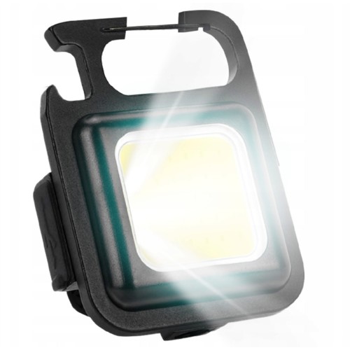 COB LED ŽIBINTUVĖLIS COB LED ŽIBINTUVĖLIS
