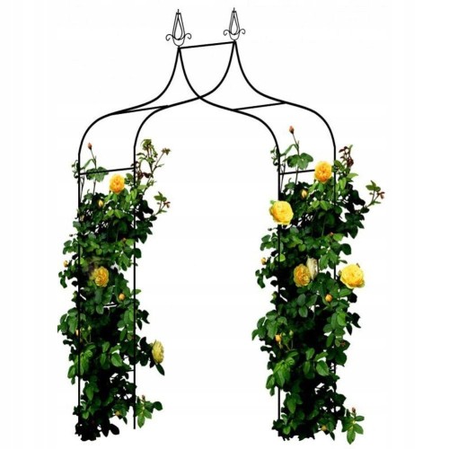 SODO PERGOLA AUGALAMS 150 × 37 × 240 CM, METALINĖ, JUODA SODO PERGOLA AUGALAMS 150 × 37 × 240 CM, METALINĖ, JUODA
