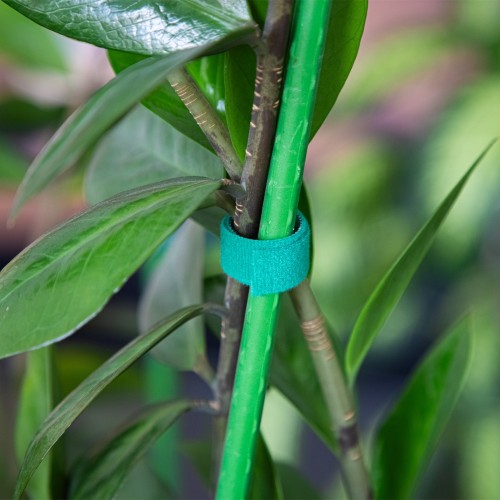 VELCRO TIPO AUGALŲ TVIRTINIMO JUOSTA VELCRO TIPO AUGALŲ TVIRTINIMO JUOSTA