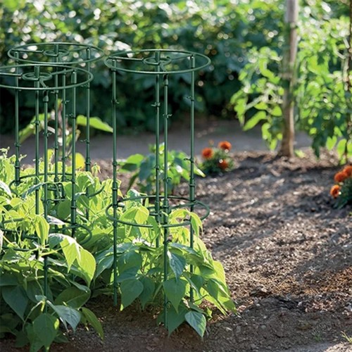 PLASTIKINĖ AUGALŲ ATRAMA – REGULIUOJAMO AUKŠČIO PLASTIKINĖ AUGALŲ ATRAMA – REGULIUOJAMO AUKŠČIO