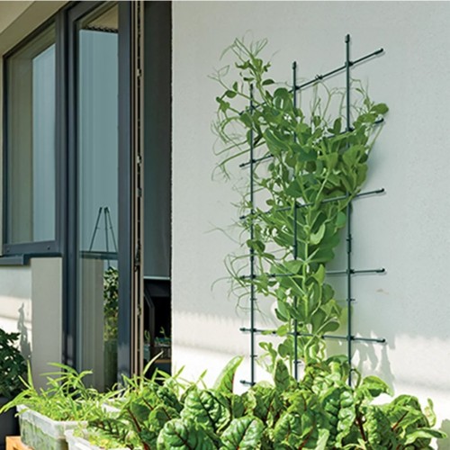 PLASTIKINĖ AUGALŲ ATRAMA – MODULINĖ SIENELĖ (1 VNT.) PLASTIKINĖ AUGALŲ ATRAMA – MODULINĖ SIENELĖ (1 VNT.)