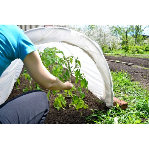 AGROPLĖVELĖ 1,6 X 10 M PAVASARINĖ BALTA 17 G/M² AGROPLĖVELĖ 1,6 X 10 M PAVASARINĖ BALTA 17 G/M²