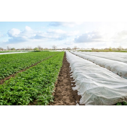 AGROPLĖVELĖ 1,6 X 10 M PAVASARINĖ BALTA 17 G/M² AGROPLĖVELĖ 1,6 X 10 M PAVASARINĖ BALTA 17 G/M²