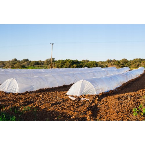 AGROPLĖVELĖ 1,6 X 10 M PAVASARINĖ BALTA 17 G/M² AGROPLĖVELĖ 1,6 X 10 M PAVASARINĖ BALTA 17 G/M²