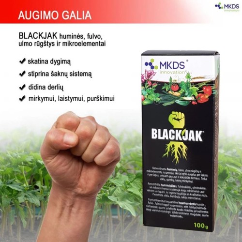 BLACKJAK HUMINĖS RŪGŠTYS ĮSIŠAKNIJIMUI, 100 ML BLACKJAK HUMINĖS RŪGŠTYS ĮSIŠAKNIJIMUI, 100 ML