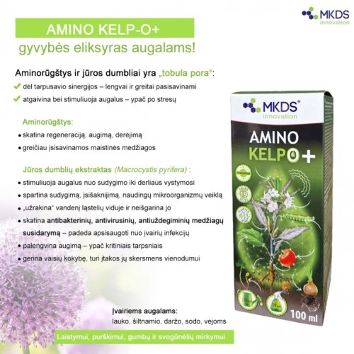 AMINO KELP-O+ AMINORŪGŠTYS SU DUMBLIŲ EKSTRAKTU, 100 ML AMINO KELP-O+ AMINORŪGŠTYS SU DUMBLIŲ EKSTRAKTU, 100 ML